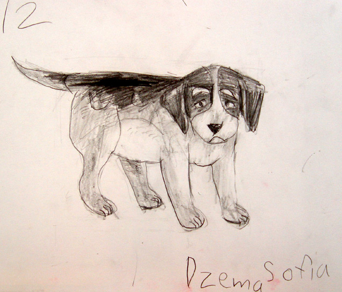 Dog_2