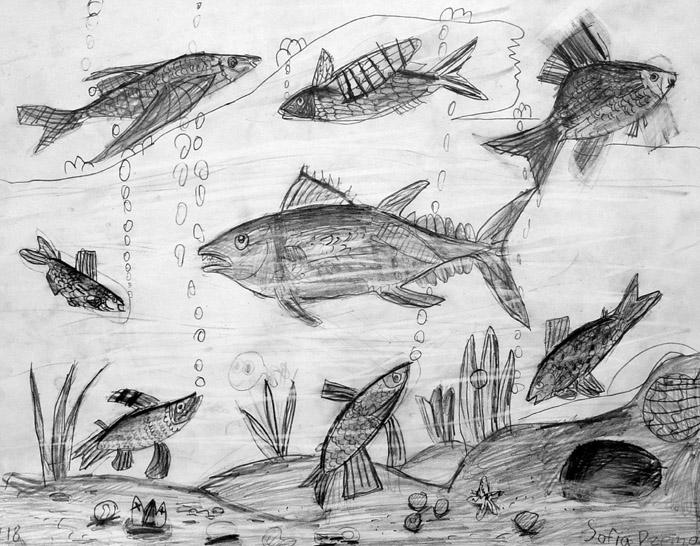 Fish