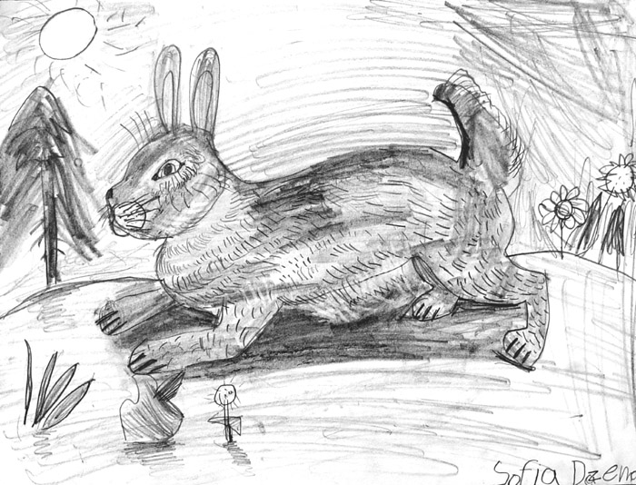 Rabbit