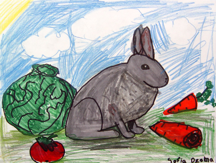 Rabbit_2