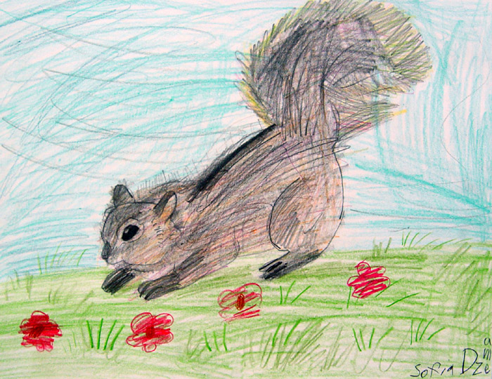 Squirrel
