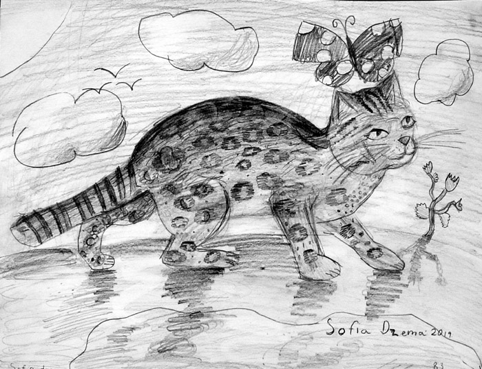 Wild_cat
