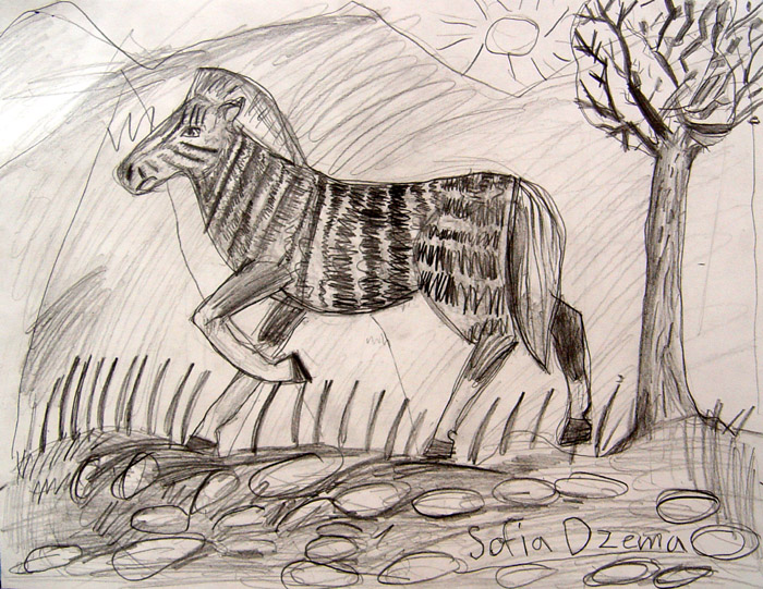Zebra