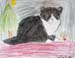 Cat_3