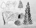 Sketches_4