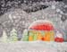 Snowfall_2016