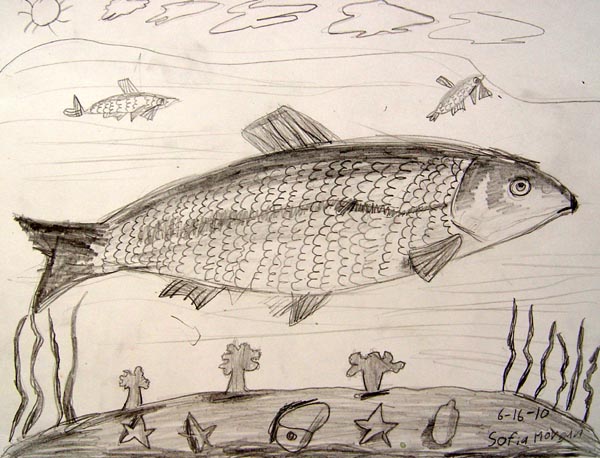 Fish
