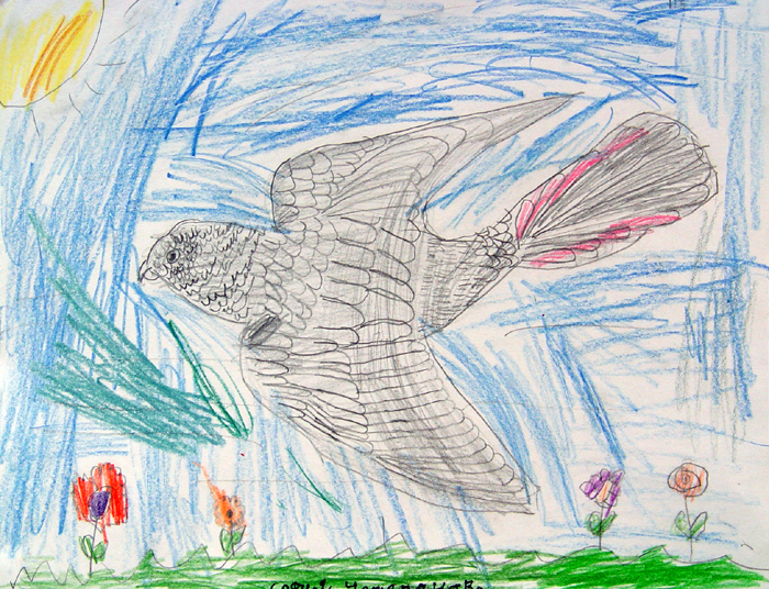 Bird_2