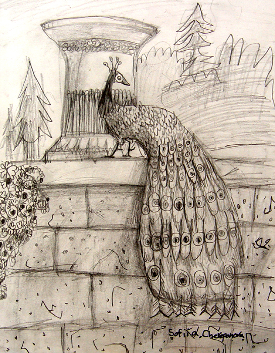 Bird_3