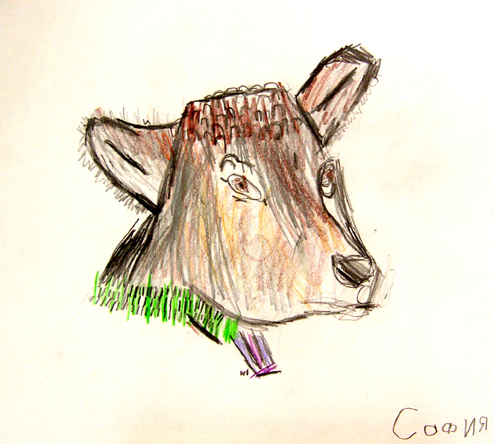 Cow