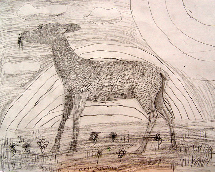 Deer