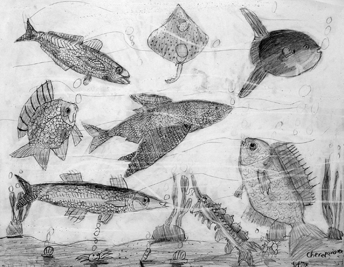 Fish