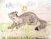Weasel