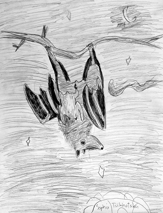 Bat