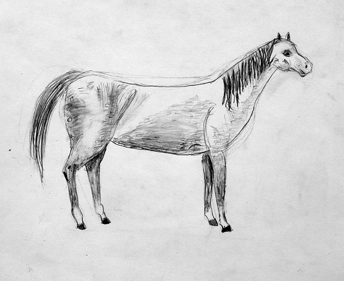 Horse