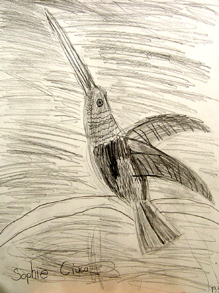 Bird_3