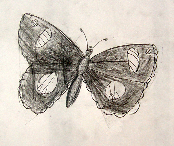 Butterfly
