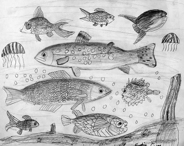 Fish