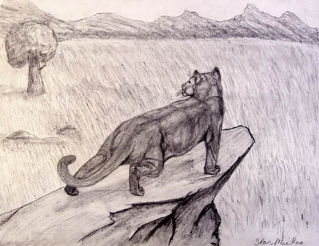 Lynx