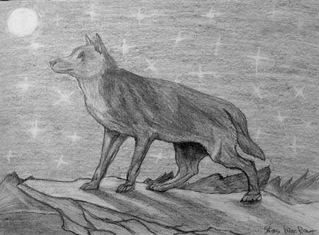 Volf