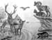 Wild_life_(composition)