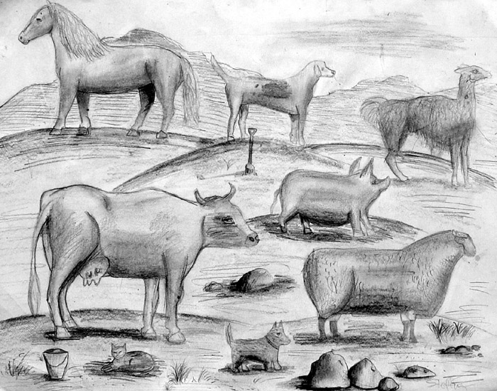 Animals_2