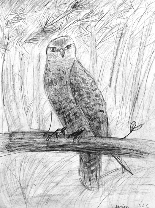Bird_3