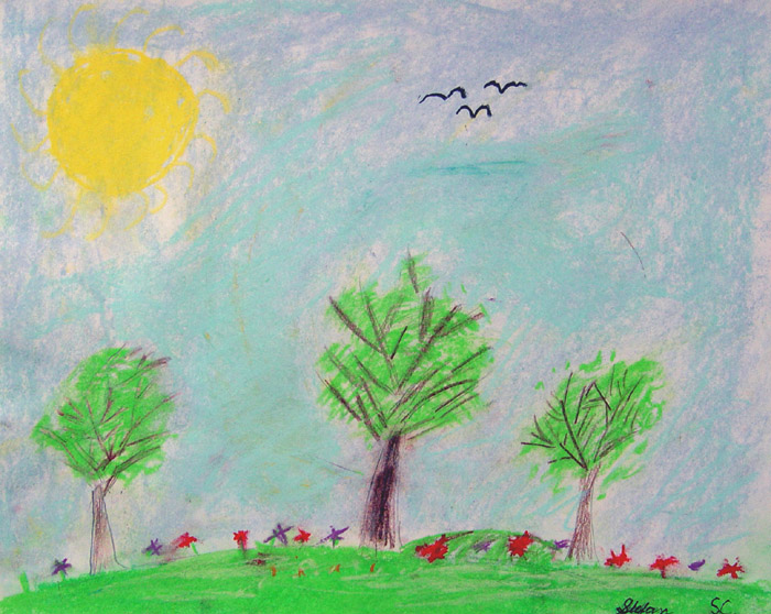 Birds