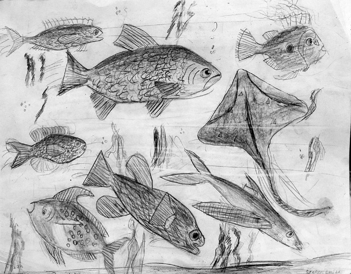 Fish