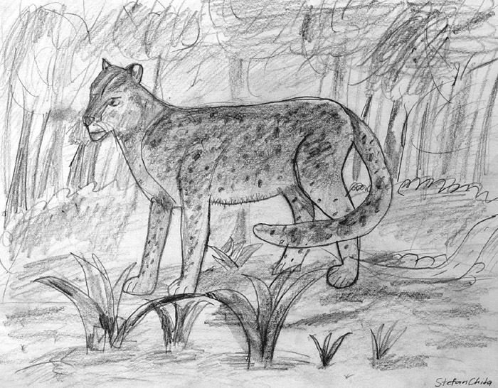 Leopard