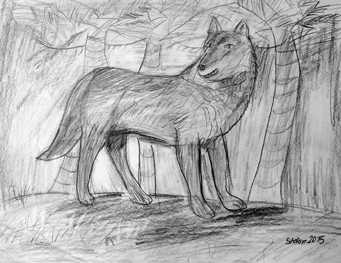 Wolf