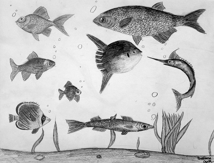 Fish