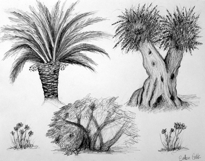 Trees
