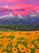 Landscape_6