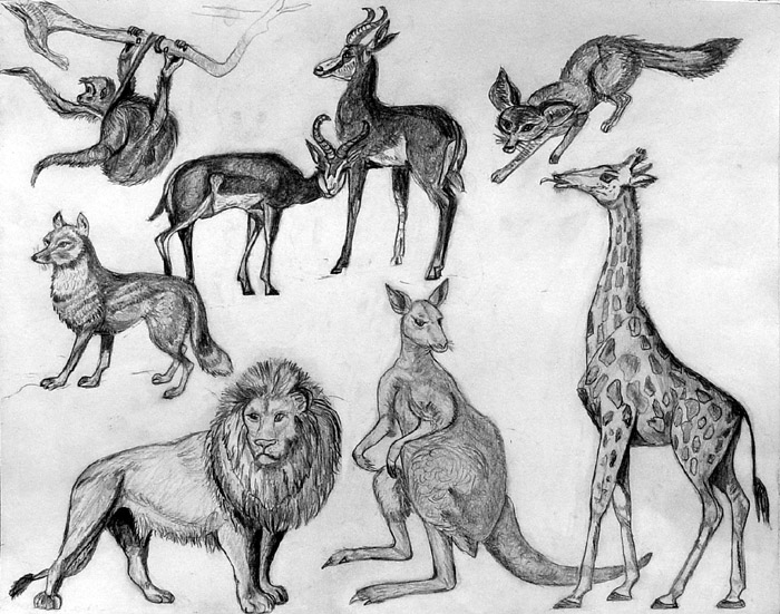 Animals_2