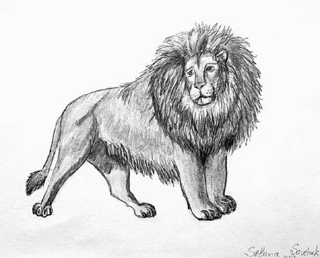 Leo