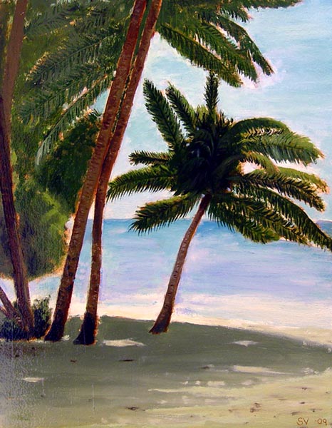 Palm trees