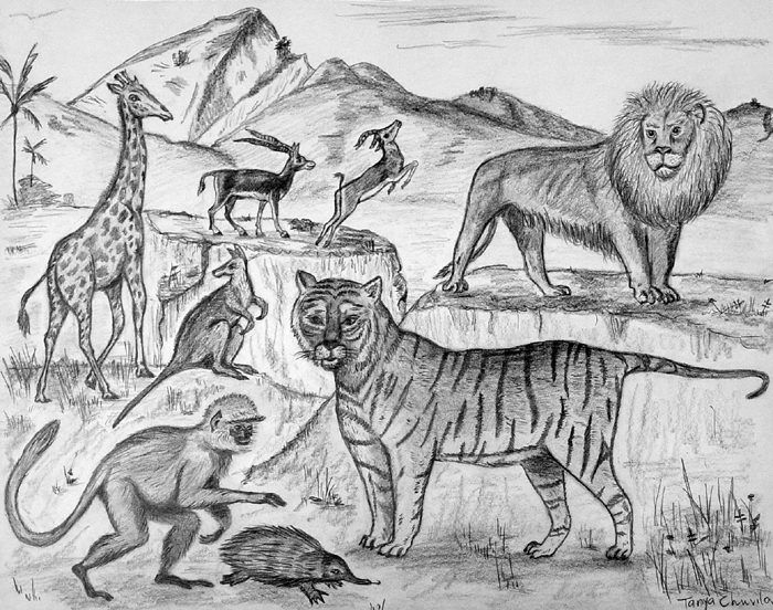 Animals