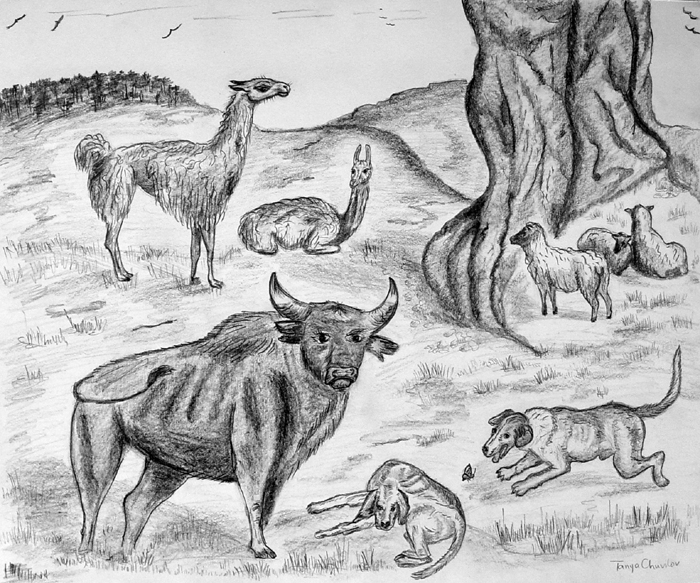 Animals_2