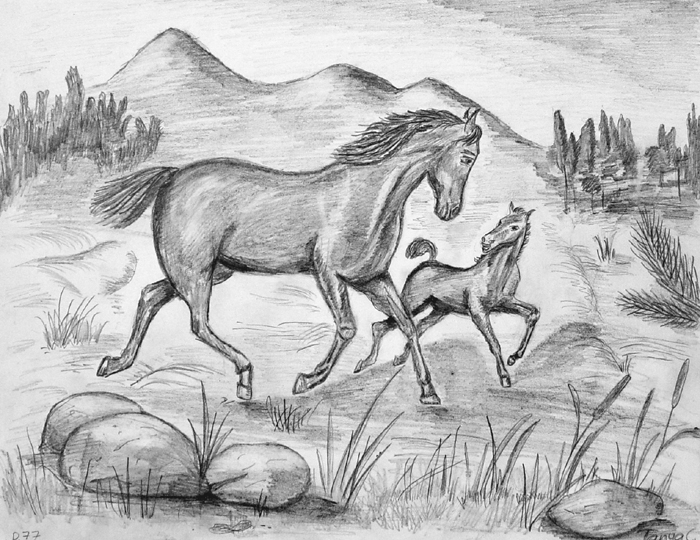 Horses