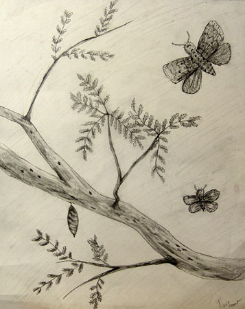 Branch