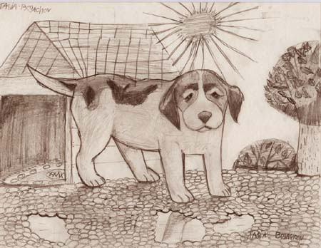 Dog