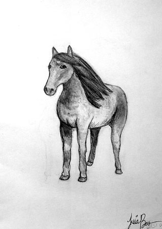 Horse