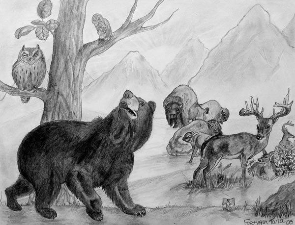 Animals