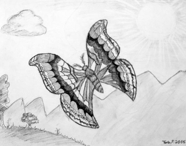 Butterfly