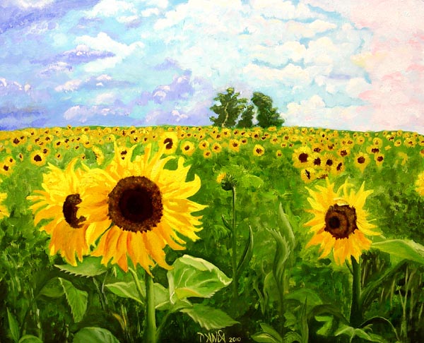 Sunflowers