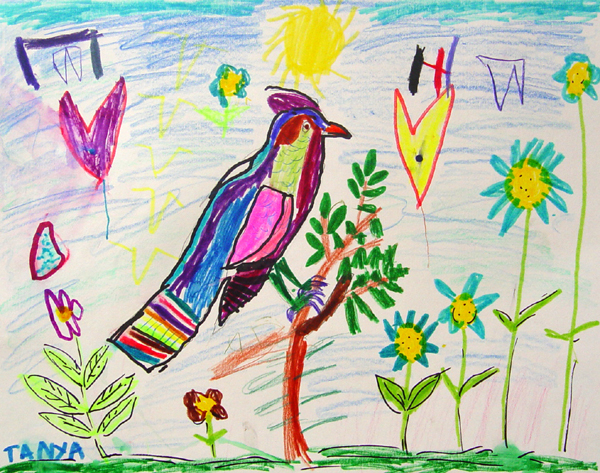 Bird_4