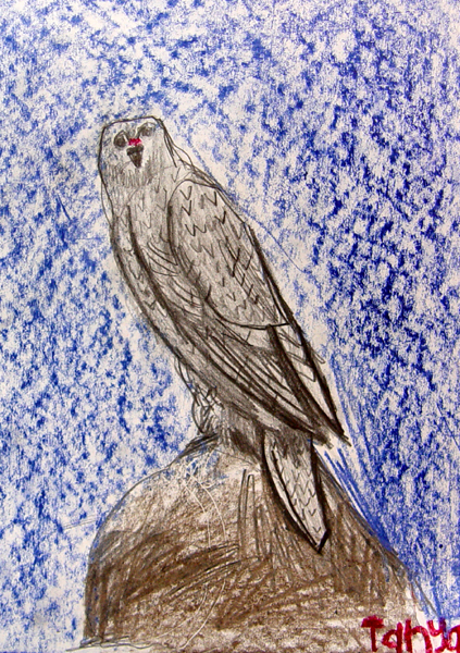 Bird_5