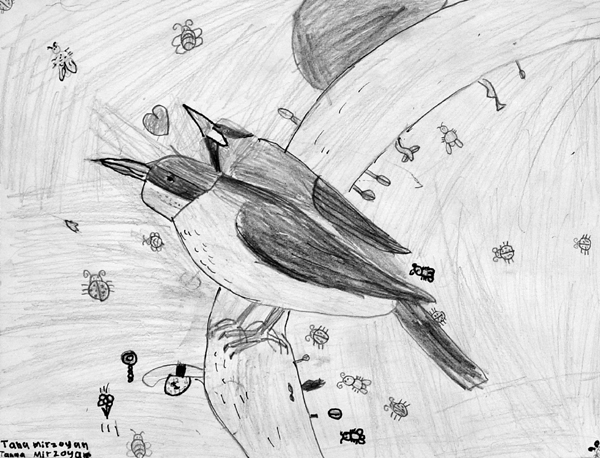 Birds