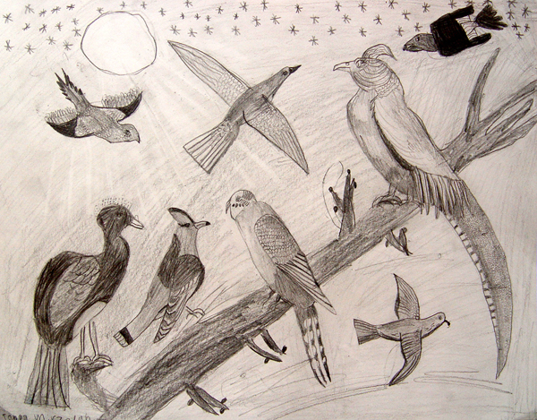 Birds_2